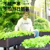 Caja de Plantación Móvil para Verduras de Balcón con Ruedas Universales, Set Familiar de Maceta de Plástico para Interiores/Exteriores, Maceta Especial para Cultivo de Verduras