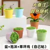 Venta al por mayor de fábrica de bonsáis, macetas de plástico, plantas suculentas, plantas verdes de escritorio de cerámica, juegos de macetas M