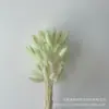 Capim rabo de coelho tie-dye com flor seca, buquê tie-dye com grama decorativa para presente manual, flor da Amazônia, Dia da Mulher 38, Flor Eterna