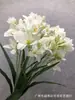 Simulación 2 tenedor fragante orquídea de nieve cymbidium orquídea verde interior sala de estar orquídea accesorios decoración adornos florales vestido artificial