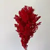Venta al por mayor de Flores de Pino Inmortalizadas para Flores Secas Transfronterizas, Productos Florales DIY, Ramos, Decoración del Hogar, Arreglos Florales con Flores Reales, Yunnan