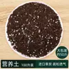Tierra Nutritiva Carnosa Siembra de Verduras Cultivo de Flores Tierra Universal para Plantar Flores Tierra Transpirable para Plantar Flores Hogareña Perlita Puerro