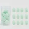 12 Esponjas de Maquillaje Mini Enlatadas Que No Absorben el Polvo y No se Atascan, Aptas para Uso Seco y Húmedo, Brocha para Base, Corrector, En Stock