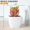 Simulación de plástico carnoso en maceta decoración de plantas verdes para el hogar adornos pequeños de escritorio maceta combinación de flores artificiales maceta accesorios para fotografía