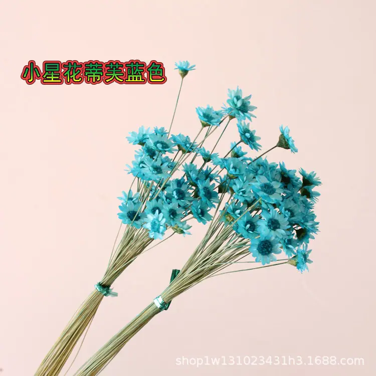小星花蒂芙蓝色.jpg
