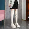 Botas de Cano Alto com Solado Grosso na Cor de Café para Mulheres, Novo Estilo de Inverno 2025, Efeito Emagrecedor, Zíper Traseiro, Botas Longas de Salto Alto, Botas Melard
