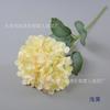 Flor de champán flor artificial diseño de escena de boda europea rosa peonía lirio 9 cabezas phalaenopsis hortensia