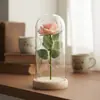 Ramo de Flores Eternas de Rosa Transfronterizo en Cúpula de Cristal, Caja de Regalo para el Día de San Valentín, Producto Terminado, Regalo de Navidad para el Día de la Madre