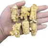 Cápsulas Redondas de Ginseng Canadiense Americano, Cabezas de Ginseng Americano, Raíces Enteras de Ginseng Americano, Cápsulas de Ginseng Americano al por Mayor y Dropshipping