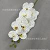 Exportación al por mayor Fábrica transfronteriza Nuevo Película con tacto de impresión 3D Flores artificiales 9 Cabezas Phalaenopsis simulado