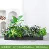 [Serie E100] Paisajismo de Plantas Verdes Macetero Combinado Maceta Decoración Planta Artificial Decoración de Paisaje Interior y Exterior
