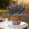 Flores Artificiales, Plantas Falsas Simuladas de Plástico, Planta Cinta, Decoración Suave, Paisajismo, Decoración para Boda en Casa, Plantas Verdes Simuladas