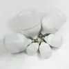 Bombillas Led, Bombillas Led de Ahorro Energético al por Mayor para Puestos Callejeros, Lámparas de Bombilla Led para Mercados Nocturnos, Base de Rosca E27, Ahorradoras de Energía y Eficientes en Consumo para Puestos