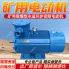 Tbvf-60/10Yc(220)(uma) Motor Síncrono de Ímã Permanente à Prova de Explosão de Mineração com Frequência Variável Motor de Mineração