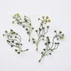 Simulação planta de água planta anchova folha persa suprimentos de Natal corpete de casamento segurando flor decoração acessórios material