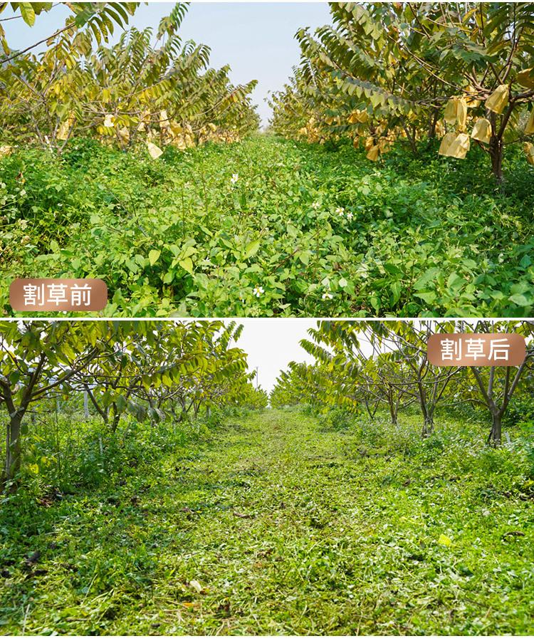 遥控割草机模板9.jpg
