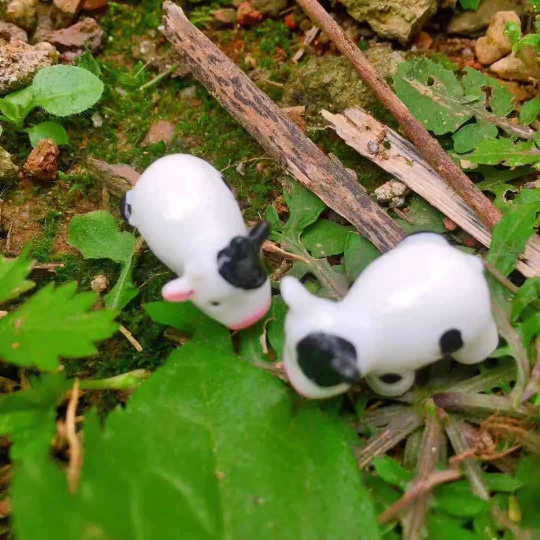 微信图片_20201125163951