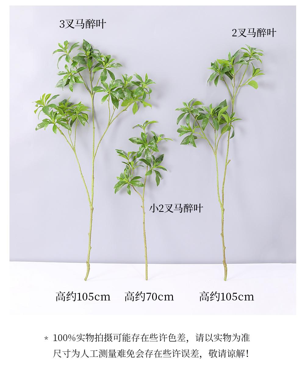 详情_03.jpg