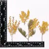 Flores de Navidad, Flores Secas, Especies de Plantas en Relieve, Flores Prensadas con Pegamento Hechas a Mano para Manualidades, Fundas para Teléfono Móvil, Velas Aromáticas, Flores para Marcos de Fotos
