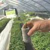 Máquina Formadora de Bloques Nutritivos No Tejidos Eléctrica Horizontal Malla Bolsa Equipo de Macetas Herramienta Automática para Bloques de Plántulas