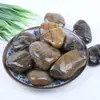 Guijarros, Piedras Flor de Lluvia, Piedras en Bruto, Paisajismo para Acuarios, Flores de Cultivo Hidropónico, Piedras Pequeñas, Macetas, Plantas en Maceta, Piedras Decorativas Multicolor