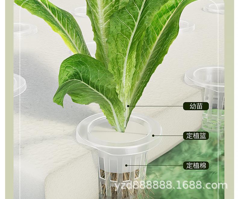 image_13.jpg?x-oss-process=image/format,png