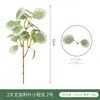 Eucalipto Artificial Folha de Dinheiro com Fruto, Haste Única Pequena, Folhas de Eucalipto Longas para Exportação, Ornamento de Planta Verde Estilo Ins Nórdico, Flor Artificial
