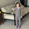 Conjunto de ropa de casa sin costuras de algodón Lycra antibacteriano de 10A para niños, pijamas para niños y niñas, tops y pantalones de otoño, ropa de casa para niños