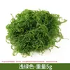 Miniatura Videira Trepadeira Galho Vegetação Cerca Decoração Fio de Algodão Galho de Salgueiro Diário Modelo DIY Flor Trepadeira