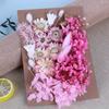 Día de la Madre Flor Eterna A5 Paquete de Material de Tablero de Flores en Relieve Marco de Fotos DIY Abanico Sombrero de Paja Material de Flores Flores Secas