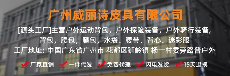 威诗丽3