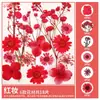 Paquete de Materiales DIY de Flores Secas Flores Prensadas Hechas a Mano Flores Conservadas Marcadores de Libros de Flores Prensadas Hojas de Árbol Real Plantas Pegatinas de Resina Maquillaje Facial