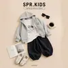 Conjunto de moletom com capuz e estampa de panda para meninos, estilo primavera e outono, com camiseta de cachorro pequena e calça jogger listrada, um conjunto casual moderno
