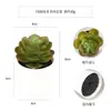 Más de 100 Tipos de Combinaciones de Plantas Suculentas Mini de Plástico Simuladas en Maceta, Mini Bonsáis Suculentos Más Vendidos Transfronterizos, Decoración para el Hogar, Adornos Creativos