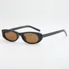 Nuevas Gafas de Sol Ovaladas Estilo Retro Ojo de Gato 2026, Protección UV, Efecto Adelgazante, Afina el Rostro, Versátiles Gafas de Sol para Conducir