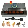 Incubadora de 20 huevos, una incubadora pequeña de tamaño doméstico para incubar huevos de pollo, pato, ganso y paloma, un dispositivo de incubación a pequeña escala para avicultura
