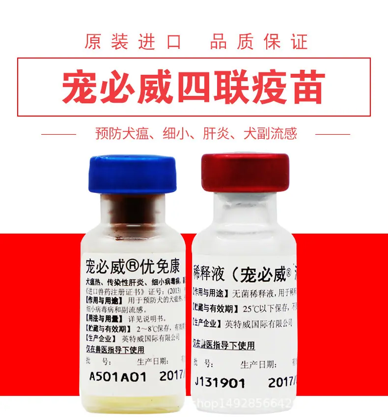 详情