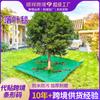 Manta de Hojas de Venta Caliente Transfronteriza para Limpiar y Recolectar Ramas y Hojas, Manta de Recolección de Tela Asfáltica para Poda de Paisajismo de Jardín