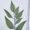 Fábrica atacado simulação folhas sete garfo simulação tela de seda folha primavera acessórios decorativos para flores folhas de eucalipto