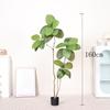 Simulação de alta qualidade planta verde árvore da fortuna de cem gerações planta verde falsa em vaso decoração de chão de sala de estar interna ornamentos plantas biônicas