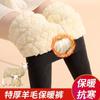 Leggings de Lana de Cordero Pantalones Cálidos del Noreste Forrados de Felpa Espesados Lana de Oveja Cintura Alta Para Usar Por Debajo Pantalones de Felpa de Otoño Pantalones de Algodón