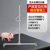 Juego de Bebedero de Acero Inoxidable para Cerdos para Corrales de Engorde y Parto, con Limitadores, Recipientes para Beber y Soporte para Granjas Porcinas