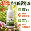 Solução Nutritiva para Plantas Altamente Concentrada Tipo Universal Doméstico para Cultivar Flores e Plantas Verdes Rega Hidropônica Plantas Verdes Adubo Árvore do Dinheiro