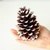 Paquete de materiales DIY hecho a mano flores mixtas plantas flores secas estilo bosque de jardín de infantes creación de anillos decoración piñas de Navidad