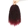 Temu Exportação Transfronteiriça Venda Quente Europeu e Americano Crochet para Cabelo Fibra Química Passion Twist Crochet para Cabelo
