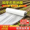 Película de acolchado blanco agrícola, película aislante e hidratante, película para invernaderos de arco pequeño engrosada, película plástica, película transparente para cultivar verduras en huertos