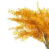 Decoración de tallo de arroz hecha de arroz real natural puro, flores de arroz secas, arreglo floral artificial de escritorio, accesorios de fotografía de tallos de trigo de cosecha