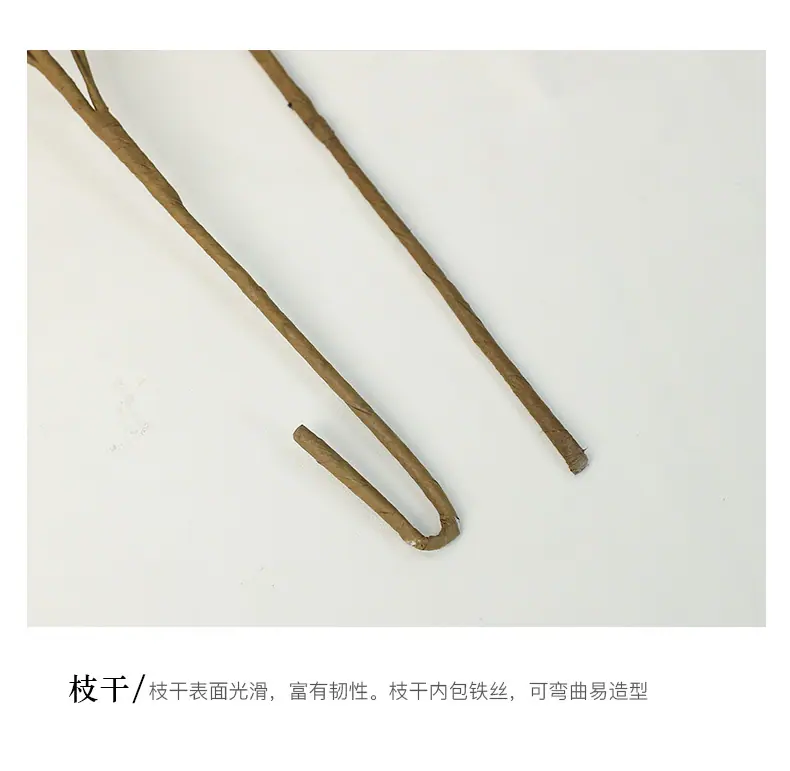 欣荣PE36片叶尤加利_13.jpg