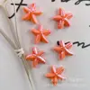 Estrella de Mar Plana Cuentas de Cerámica Cuentas Sueltas Cuentas en Hilo Hecho a Mano DIY Collar Pulsera Accesorios de Joyería Fabricante Mayorista