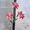 Lírio Pequeno Impresso em 3D em Azul e Roxo para Adereços de Fotografia de Casamento, Decoração de Casa, Vitrines e Flores Artificiais Vermelhas
